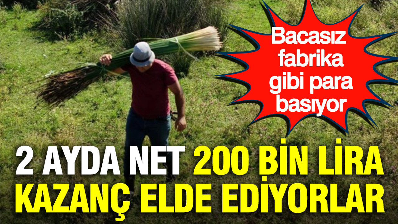 2 ayda net 200 bin lira kazanç elde ediyorlar: Bacasız fabrika gibi para basıyor Haber gorseli