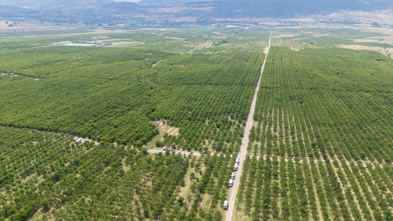 “Sınırları kaldıralım” dediler, servete kondular: Bir köyün kaderini değiştiren karar! Sinirlari kaldiralim dediler servete kondular bir koyun kaderini degistiren karar Ag62XyTY